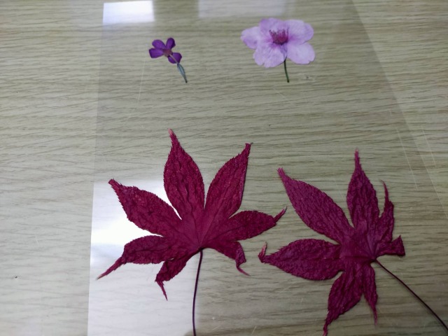 ラミネート押し花