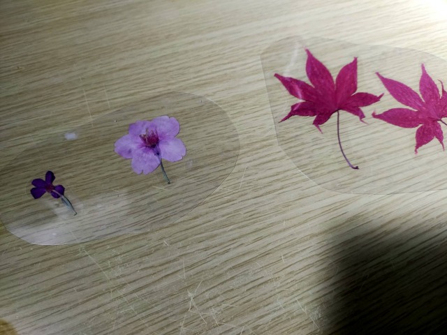 ラミネート押し花