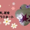 押し花を簡単ラミネート