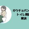 ガウチョパンツのトイレ問題解決