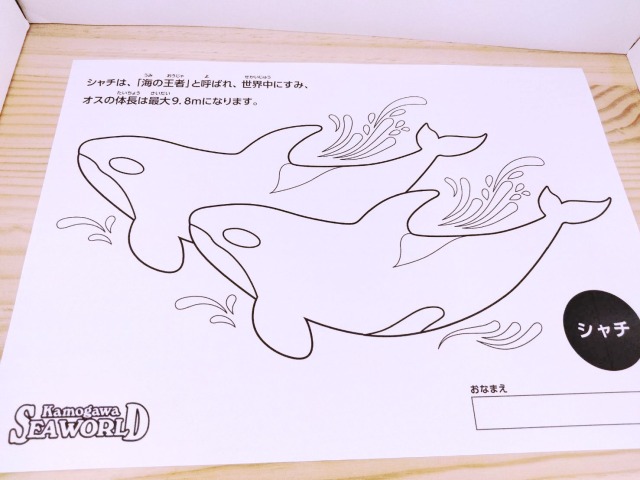 鴨川シーワールドシャチぬりえ