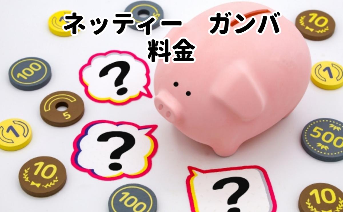 ネッティーガンバ料金