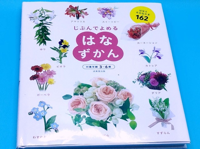 はなずかん